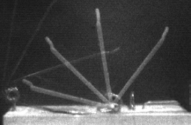 Mouse trap image in the multiple exposure mode